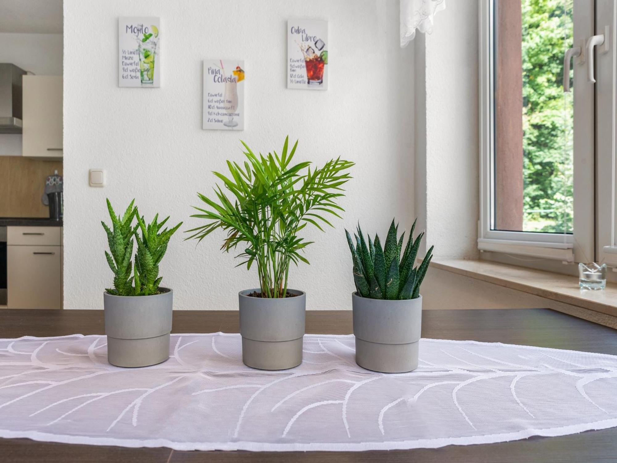 Modern Apartment In Sebnitz With A Terrace In Sebnitz Buitenkant foto